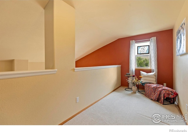 2012 Amber Ct, Fort Collins, CO 80528 - photo 21