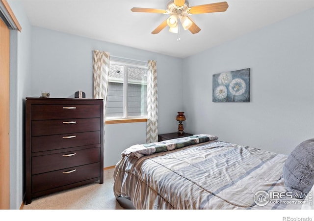 2012 Amber Ct, Fort Collins, CO 80528 - photo 26