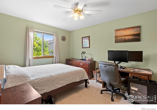 2012 Amber Ct, Fort Collins, CO 80528 - photo 28