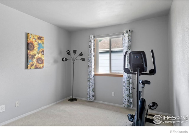 2012 Amber Ct, Fort Collins, CO 80528 - photo 29