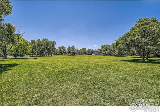4767 White Rock Cir Unit D, Boulder, CO 80301 - photo 30