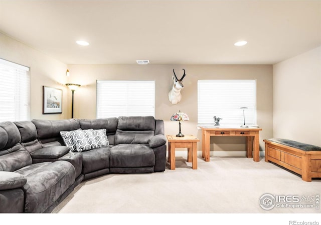 1152 Village Cir, Erie, CO 80516 - photo 25