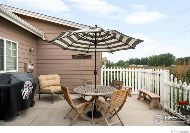 1152 Village Cir, Erie, CO 80516 - photo 34