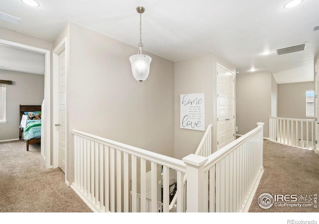6119 Pryor Rd, Timnath, CO 80547 - photo 16