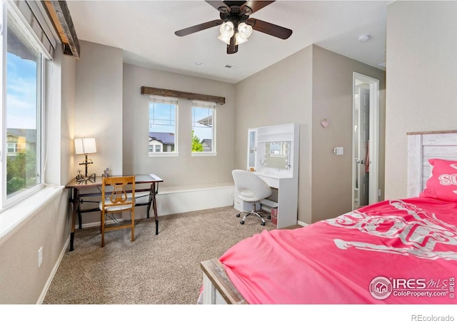 6119 Pryor Rd, Timnath, CO 80547 - photo 28