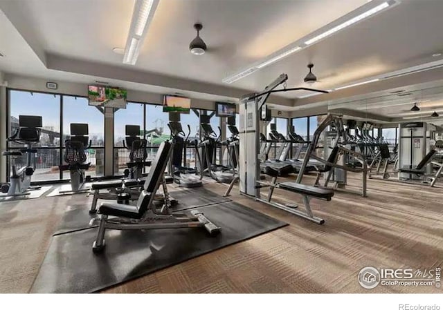 6119 Pryor Rd, Timnath, CO 80547 - photo 35