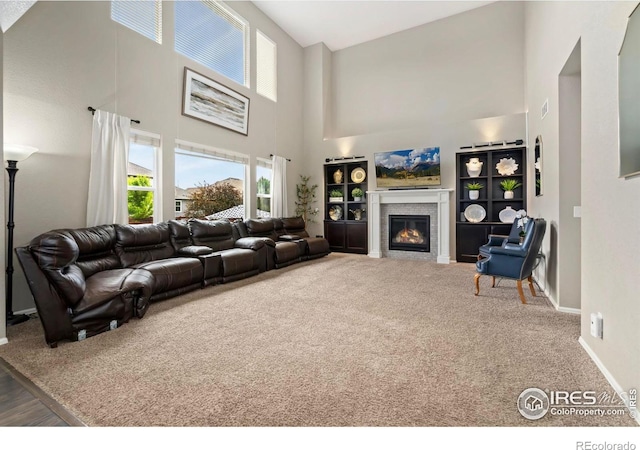 6119 Pryor Rd, Timnath, CO 80547 - photo 9