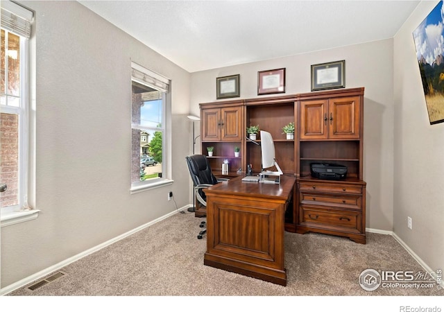 6119 Pryor Rd, Timnath, CO 80547 - photo 13