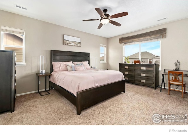 6119 Pryor Rd, Timnath, CO 80547 - photo 17
