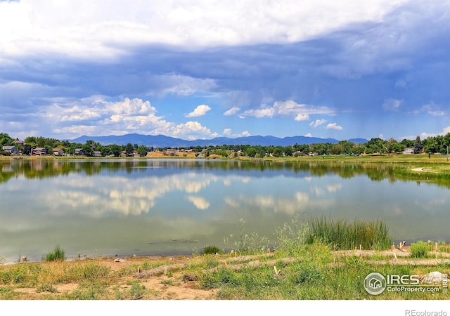 6454 W 85th Ave, Arvada, CO 80003 - photo 29