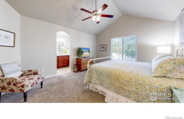 4605 Freehold Dr, Windsor, CO 80550 - photo 9