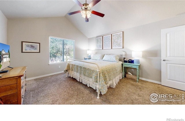 4605 Freehold Dr, Windsor, CO 80550 - photo 10