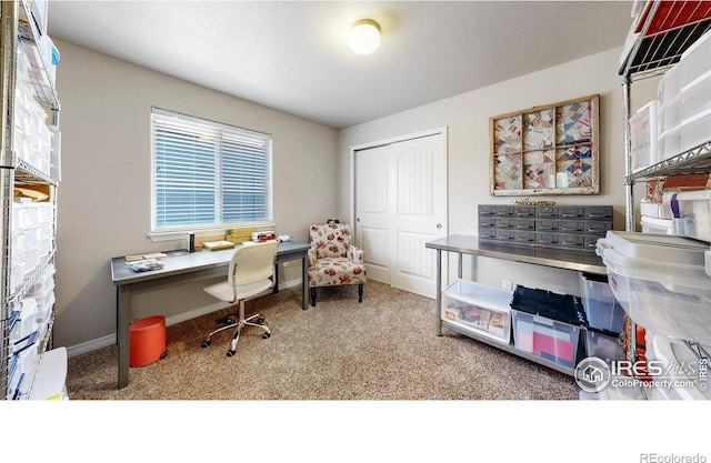 4605 Freehold Dr, Windsor, CO 80550 - photo 15