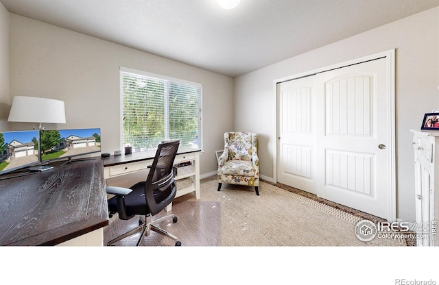 4605 Freehold Dr, Windsor, CO 80550 - photo 16