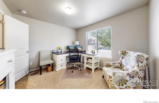 4605 Freehold Dr, Windsor, CO 80550 - photo 17