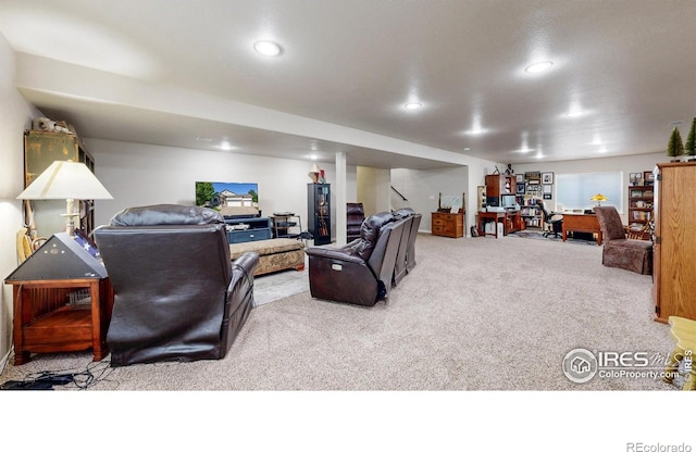 4605 Freehold Dr, Windsor, CO 80550 - photo 20