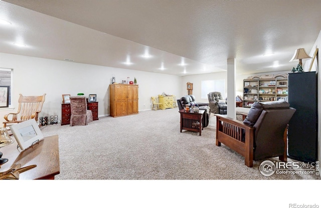 4605 Freehold Dr, Windsor, CO 80550 - photo 21