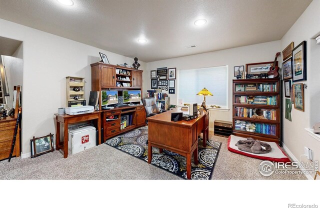 4605 Freehold Dr, Windsor, CO 80550 - photo 22