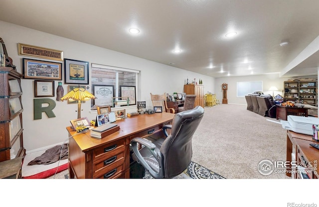 4605 Freehold Dr, Windsor, CO 80550 - photo 23