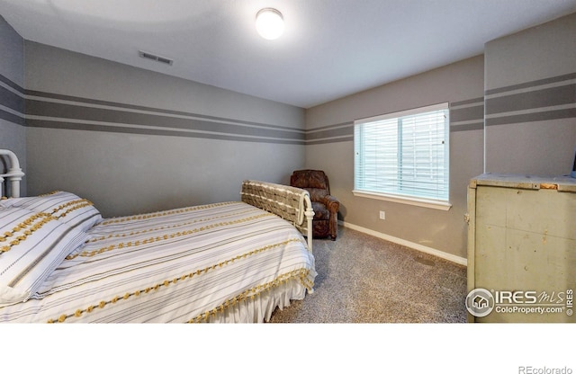 4605 Freehold Dr, Windsor, CO 80550 - photo 24