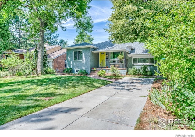 1173 Niagara St, Denver, CO 80220 - photo 2