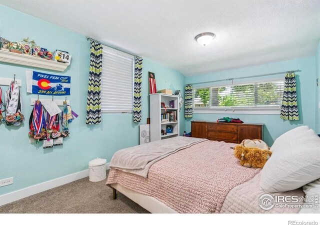 1173 Niagara St, Denver, CO 80220 - photo 19