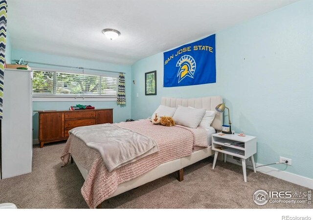 1173 Niagara St, Denver, CO 80220 - photo 20