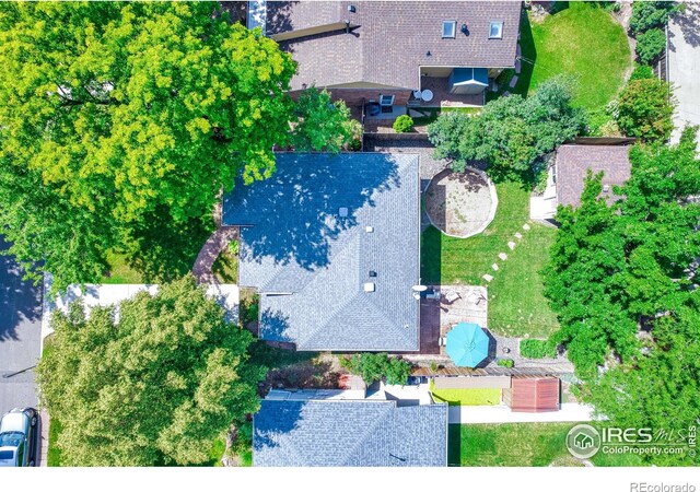 1173 Niagara St, Denver, CO 80220 - photo 33