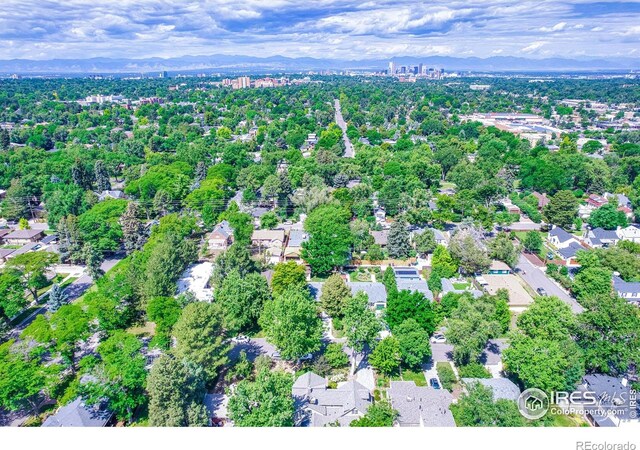 1173 Niagara St, Denver, CO 80220 - photo 34