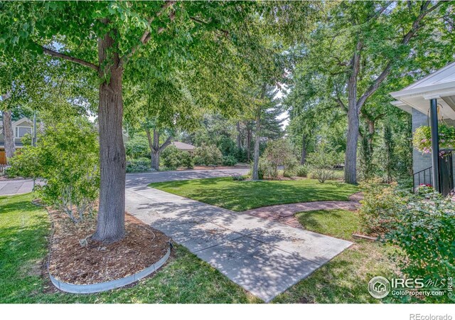 1173 Niagara St, Denver, CO 80220 - photo 39