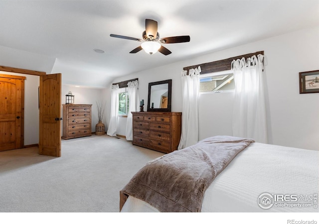 1700 Dolores River Dr, Windsor, CO 80550 - photo 17