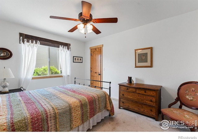 1700 Dolores River Dr, Windsor, CO 80550 - photo 24