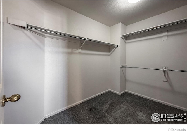 13716 Legend Trl Unit 101, Broomfield, CO 80023 - photo 23