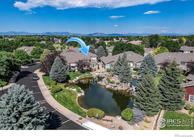13716 Legend Trl Unit 101, Broomfield, CO 80023 - photo 37