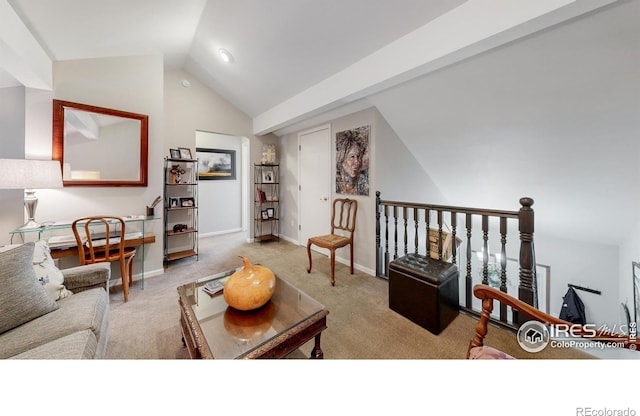 1437 Raven Cir, Estes Park, CO 80517 - photo 16
