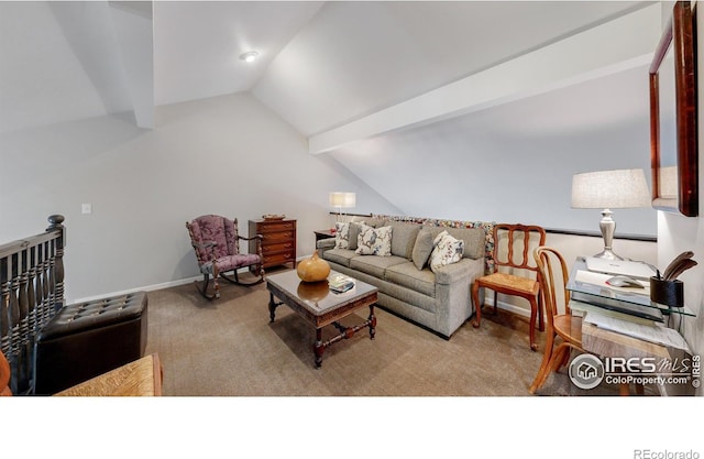 1437 Raven Cir, Estes Park, CO 80517 - photo 17