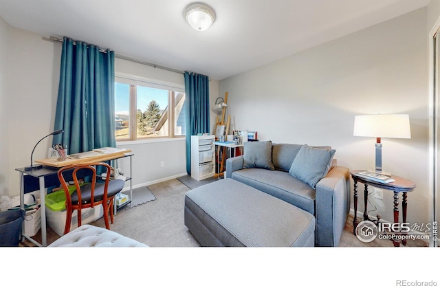 1437 Raven Cir, Estes Park, CO 80517 - photo 18