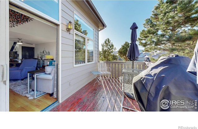 1437 Raven Cir, Estes Park, CO 80517 - photo 27