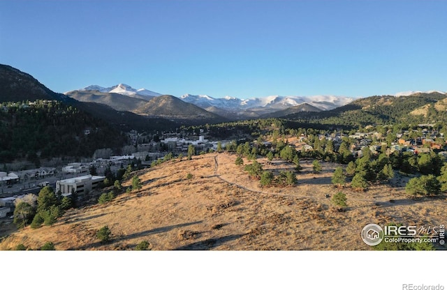 1437 Raven Cir, Estes Park, CO 80517 - photo 37