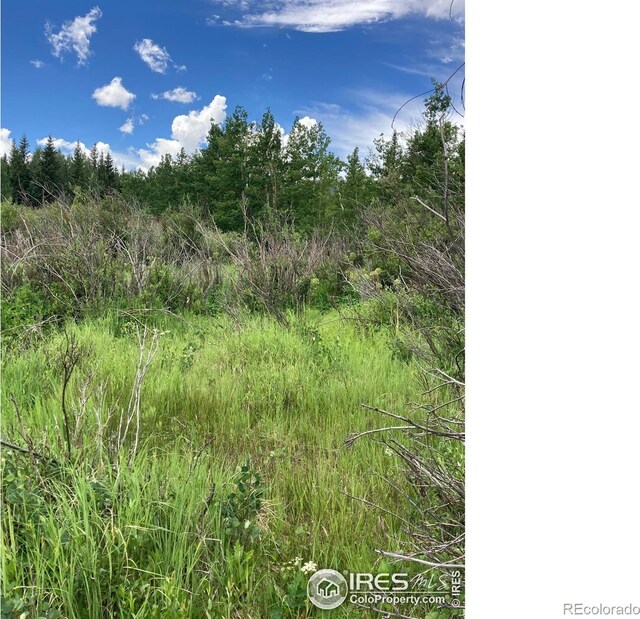 411 Tesuque Trl, Red Feather Lakes, CO 80545 - photo 1