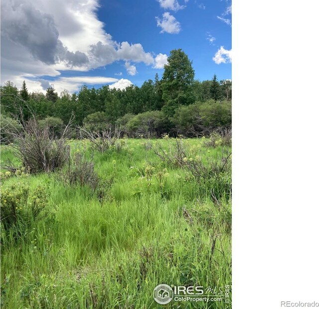 411 Tesuque Trl, Red Feather Lakes, CO 80545 - photo 3