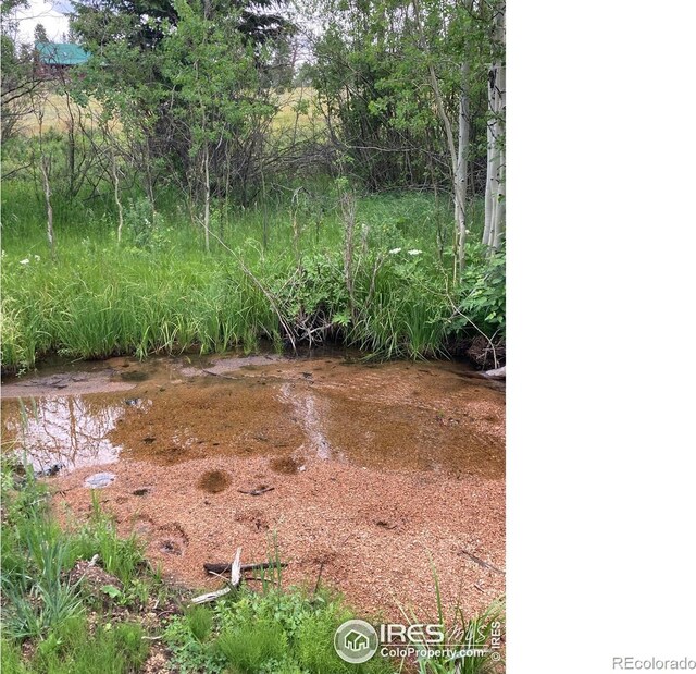 411 Tesuque Trl, Red Feather Lakes, CO 80545 - photo 6