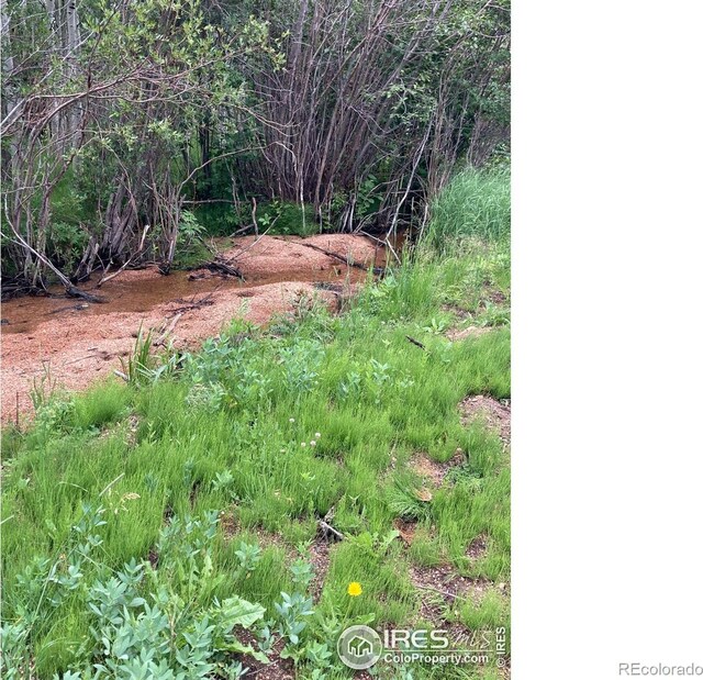 411 Tesuque Trl, Red Feather Lakes, CO 80545 - photo 7