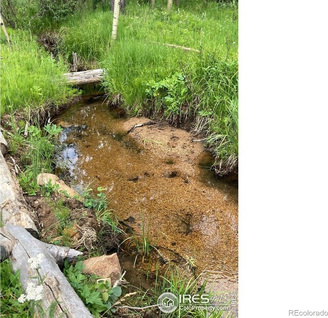 411 Tesuque Trl, Red Feather Lakes, CO 80545 - photo 8