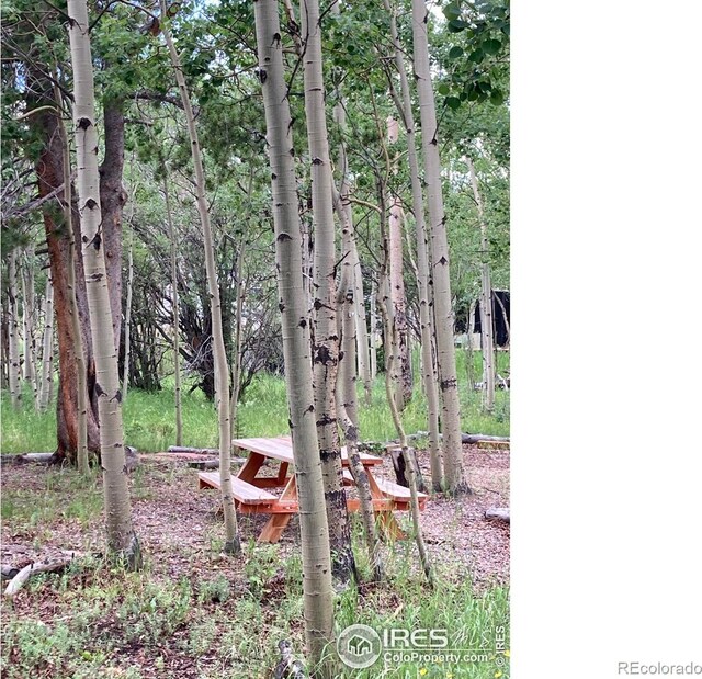 411 Tesuque Trl, Red Feather Lakes, CO 80545 - photo 9