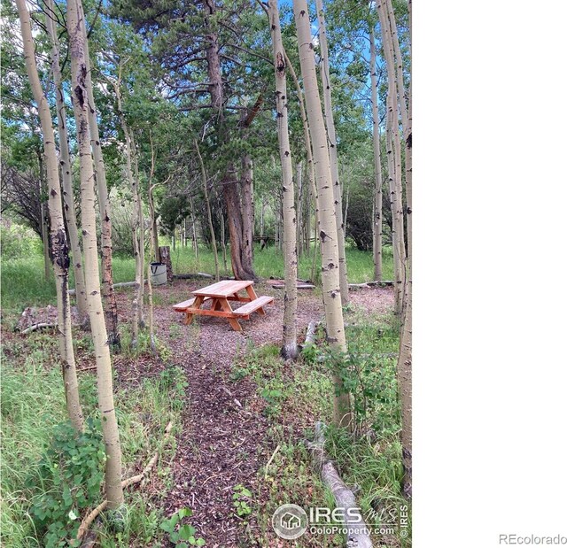 411 Tesuque Trl, Red Feather Lakes, CO 80545 - photo 10