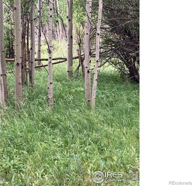 411 Tesuque Trl, Red Feather Lakes, CO 80545 - photo 14