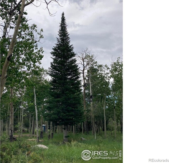 411 Tesuque Trl, Red Feather Lakes, CO 80545 - photo 16
