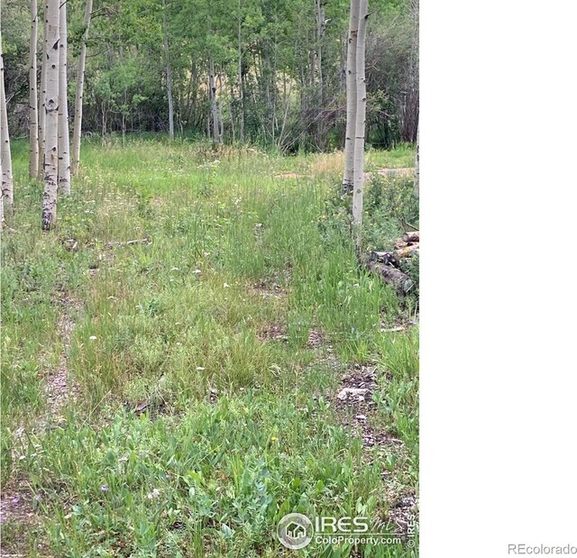 411 Tesuque Trl, Red Feather Lakes, CO 80545 - photo 17