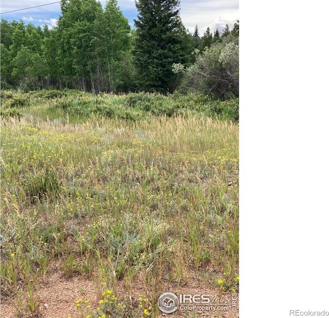 411 Tesuque Trl, Red Feather Lakes, CO 80545 - photo 20